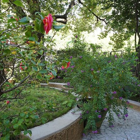 La Casa Dell'Albero Apartman La Spezia Kültér fotó